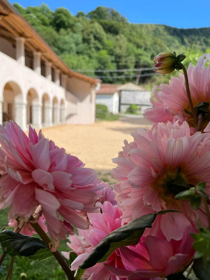 Agriturismo Il Bosco Camere Vittorio Veneto Exteriör bild